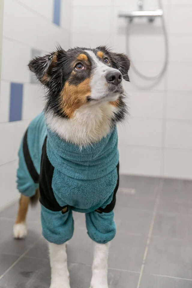 TRIXIE Hunde Bademantel und Hausoverall